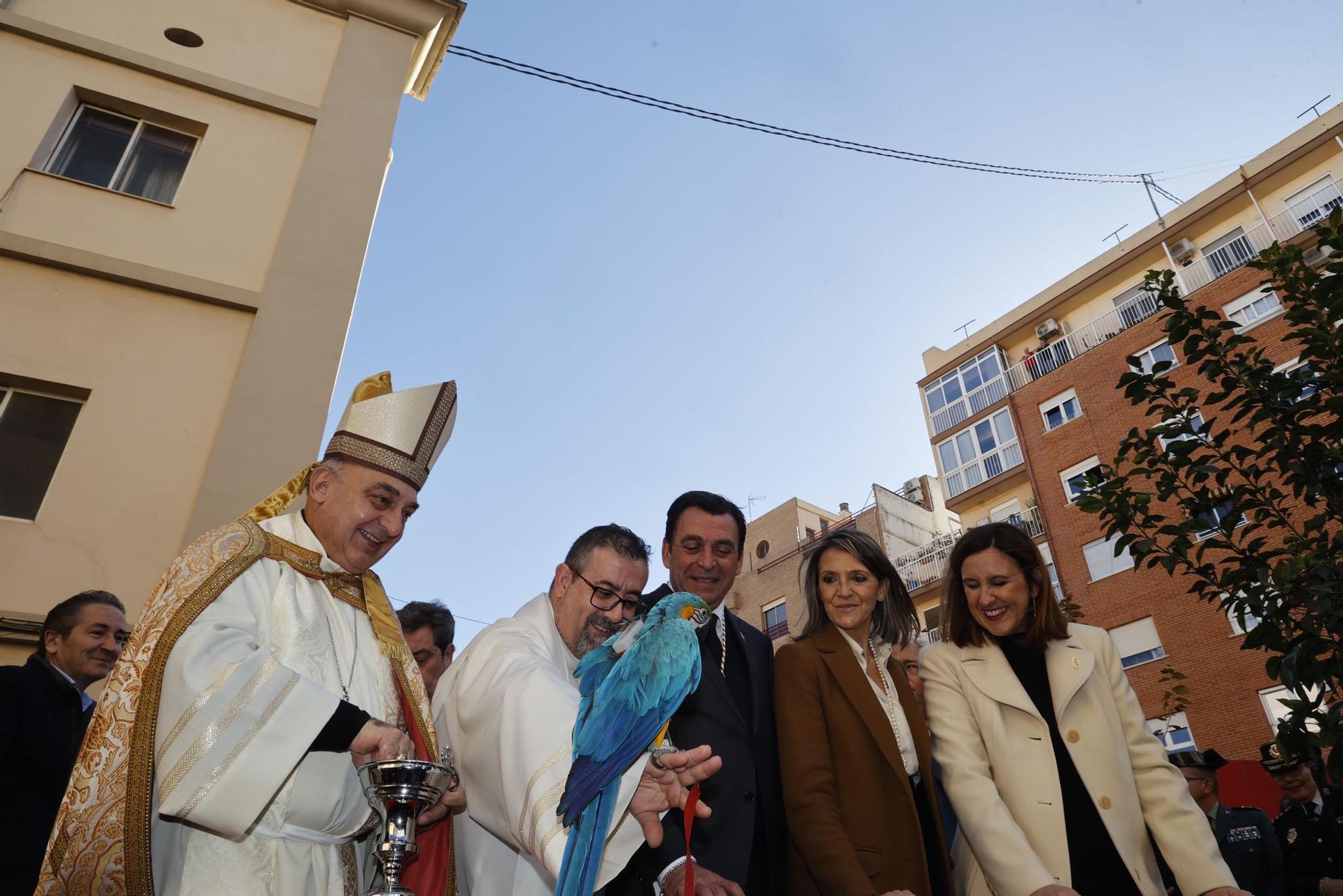 Búscate en la bendición de animales de Sant Antoni de València