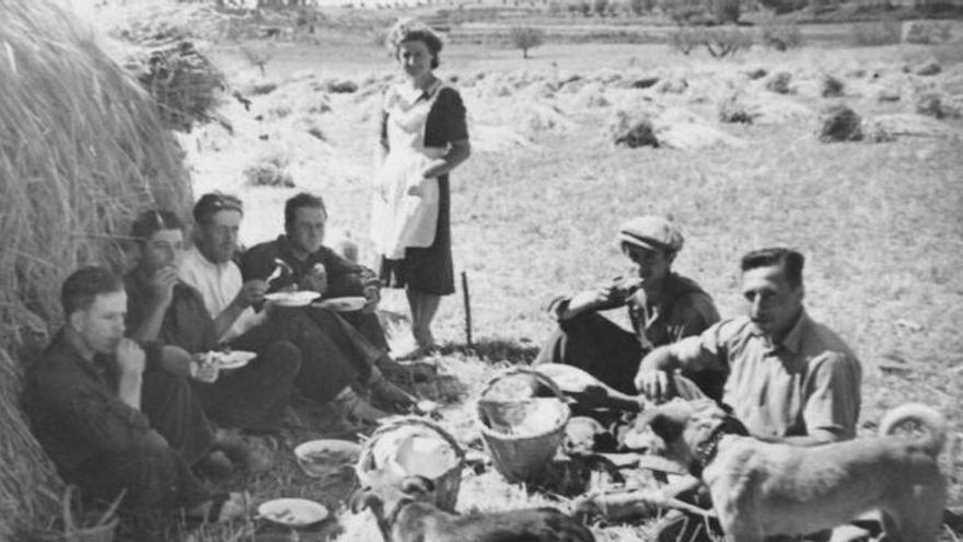 Fent un mos enmig de la sega a Sant Mateu l’any 1950