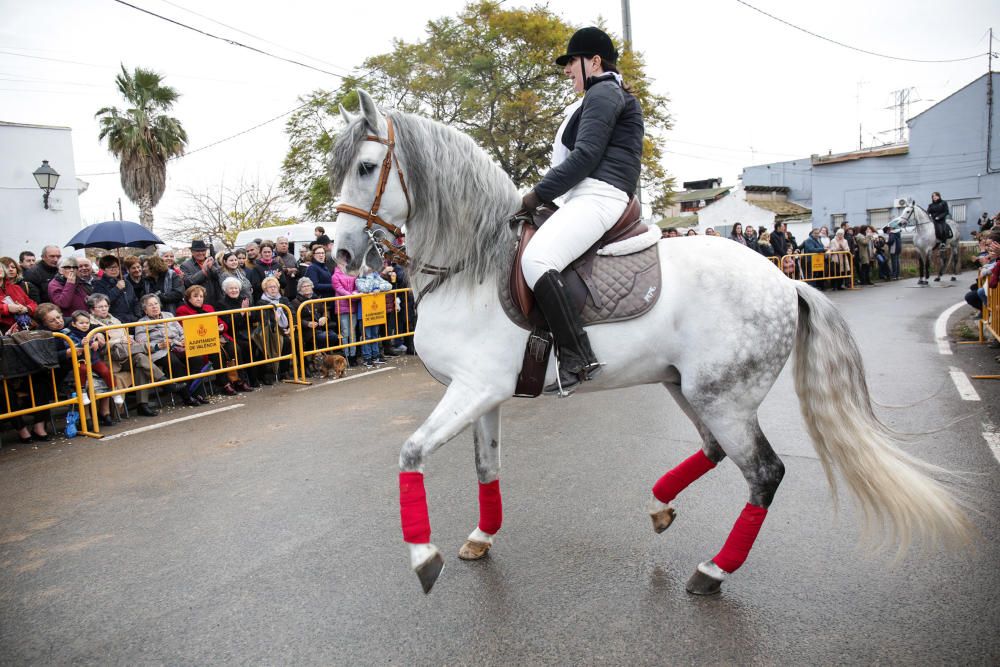 Fiesta de Sant Antoni en la ermita de vera