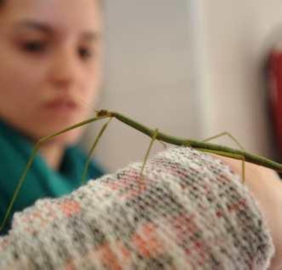 De instituto a fábrica de sueños