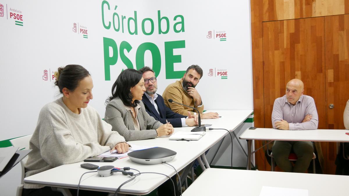 Reunión de la Comisión Ejecutiva Provincial del PSOE de Córdoba en la que ha ratificado la candidatura socialista al Ayuntamiento de Córdoba .