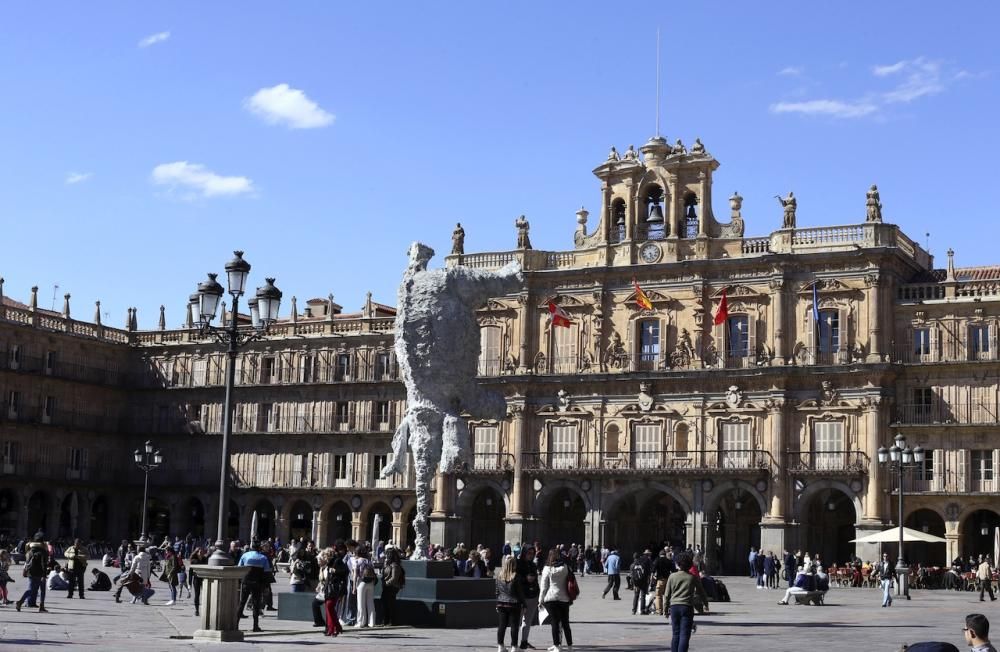 Miquel Barceló inaugura una exposición antológica en Salamanca