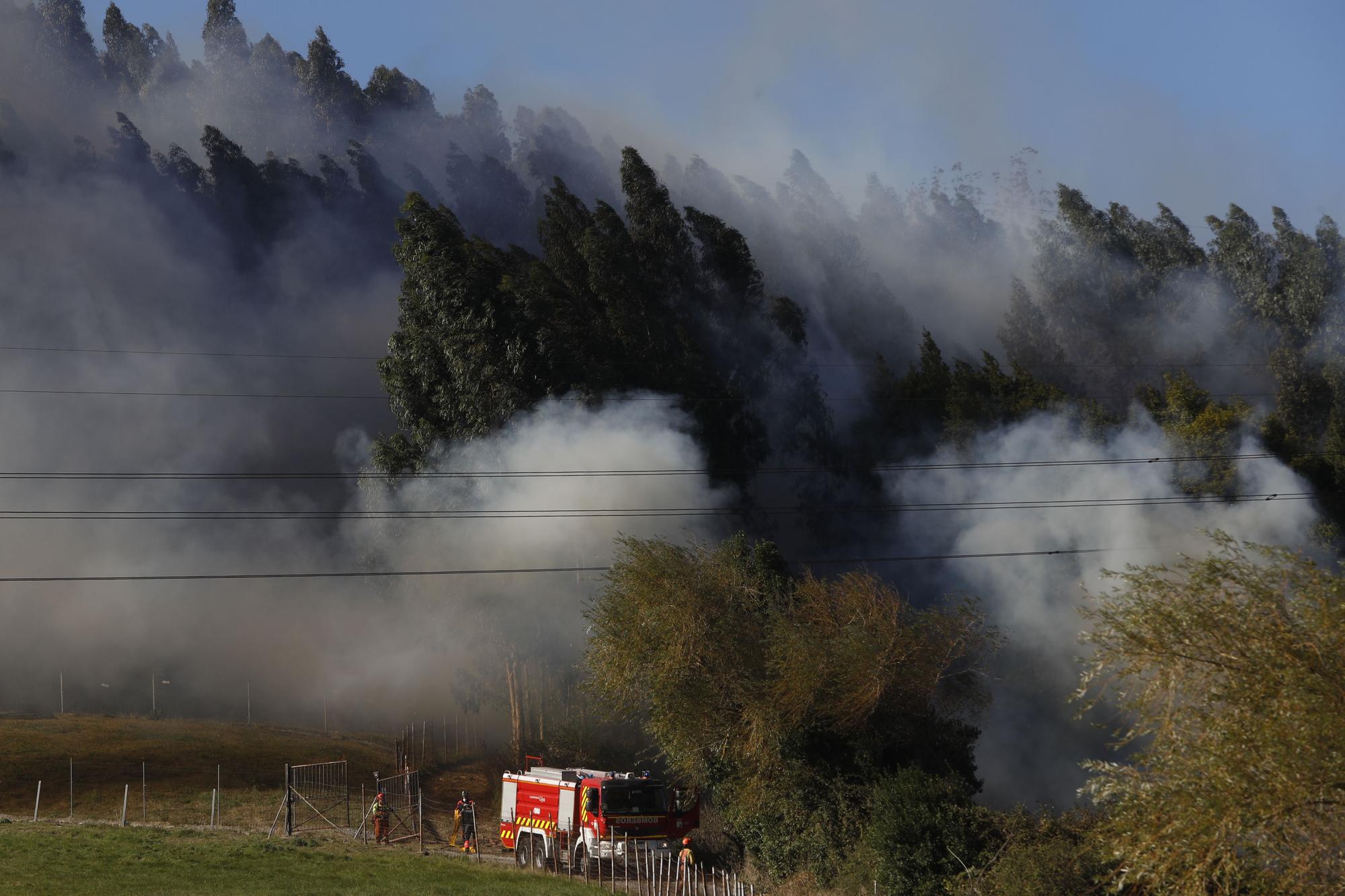 En imágenes: se reactiva el incendio en la vertiente gijonesa del Monte Areo