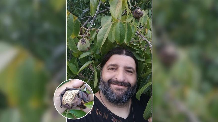 ¿Por qué las nueces se ponen negras? El Hombre del Bosque te explica cómo evitarlo