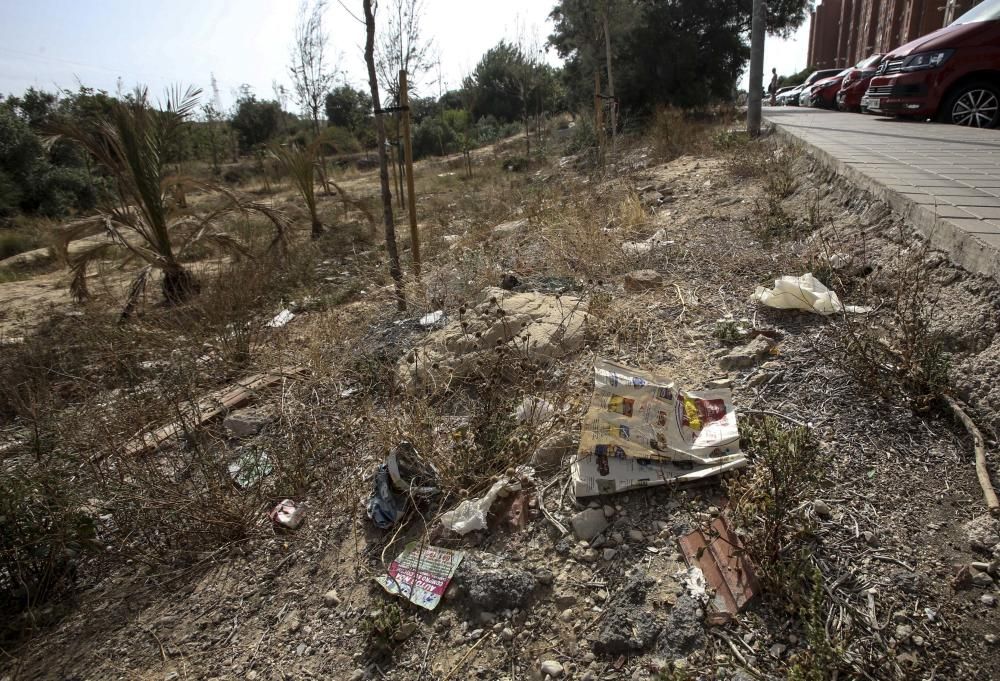 El bosque urbano de la sierra del Porquet, en la entrada sur de Alicante, carece de sistema de riego y el arbolado está en las últimas