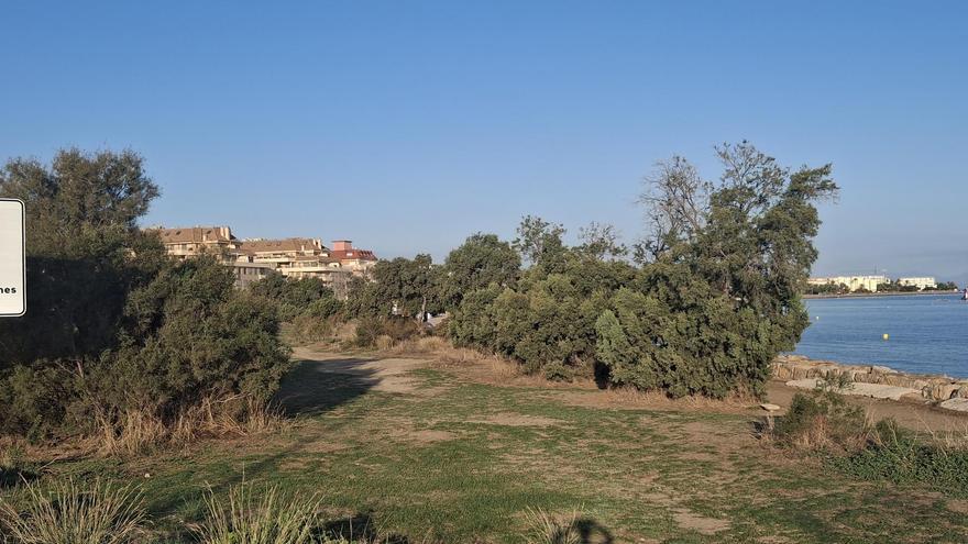 Otro paso hacia la privatización de un tramo de playa en Dénia: salen a la luz los proyectos del "beach club"