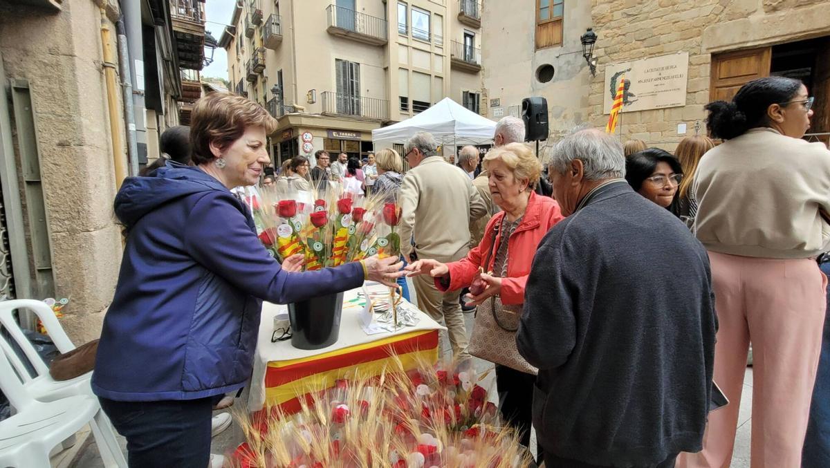 SANT JORDI . 2026 . BERGA . BERGUEDA . ROSES . LLIBRES . PARADA