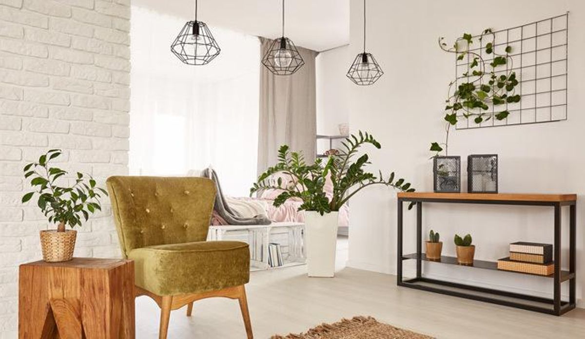 Ideas para decorar con plantas