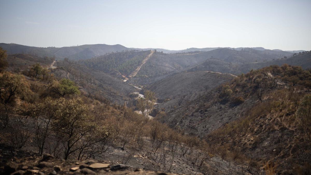 El incendio de Niebla deja un paisaje desolador en Berrocal (Huelva).