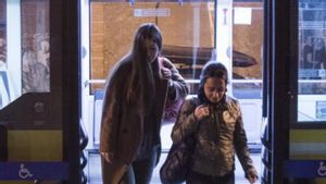 Una de les línies del Nitbus.  | FERRAN NADEU