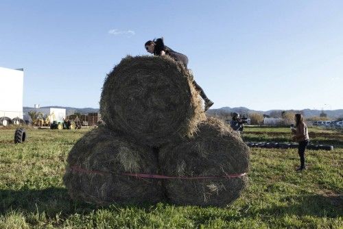 Una gincana payesa cierra la jornada dedicada a la vida rural en Sant Antoni