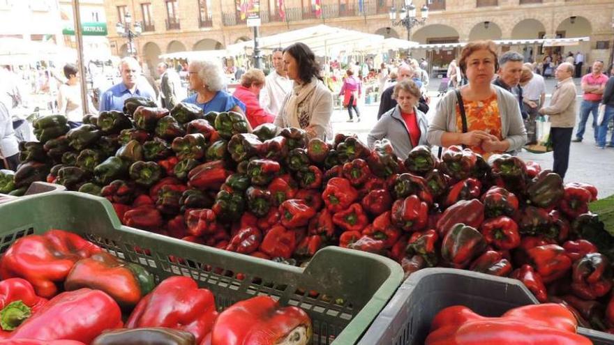 Varias personas se interesan por la calidad y el precio de los pimientos en uno de los puestos de la Plaza Mayor.