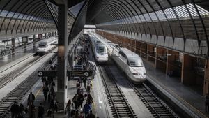 Una avaria deixa un AVE sense aire condicionat i acaba amb diversos passatgers marejats a 39 graus
