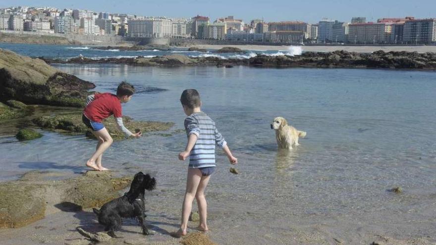 Dos niños juegan con sus perros en la playa de Riazor.