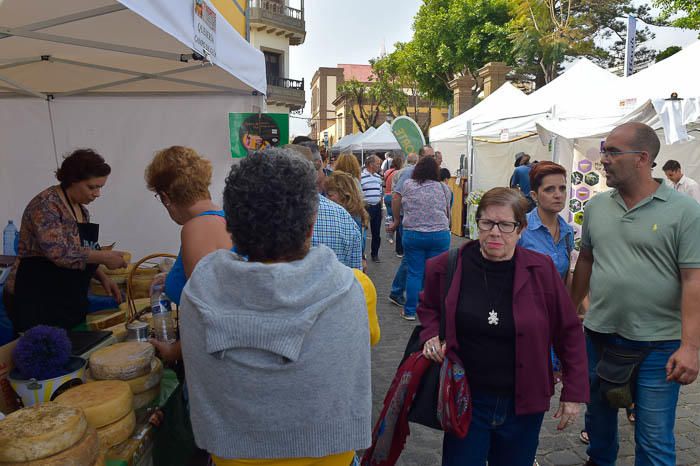 Feria empresarial Fenorte