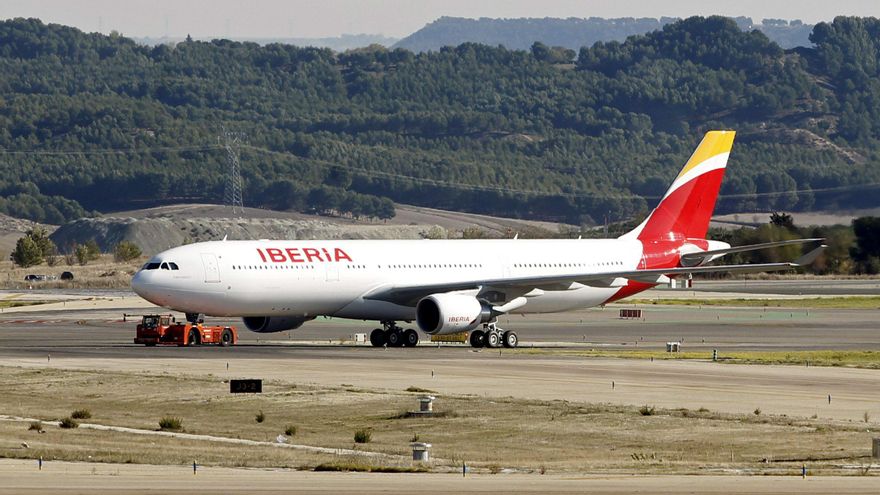 Un avión aterriza en Barajas con un buitre empotrado en su morro