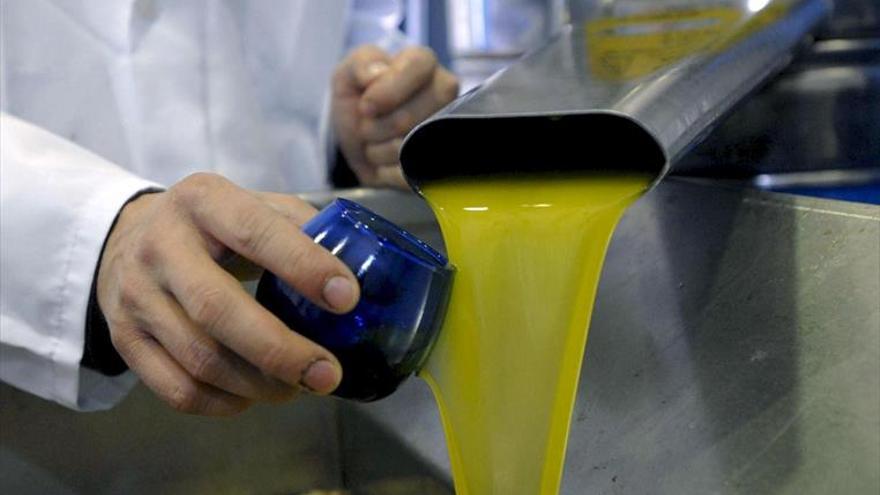 La producción de aceite de oliva en Extremadura se sitúa en 26.700 toneladas