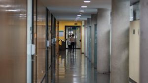 Campus de la UAB.