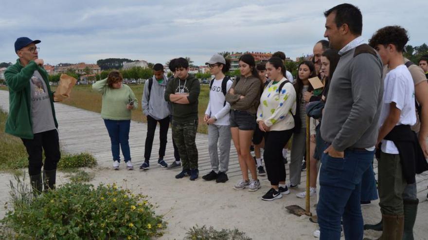 Alumnos del instituto de Sanxenxo retiran plantas invasoras del área dunar de Baltar
