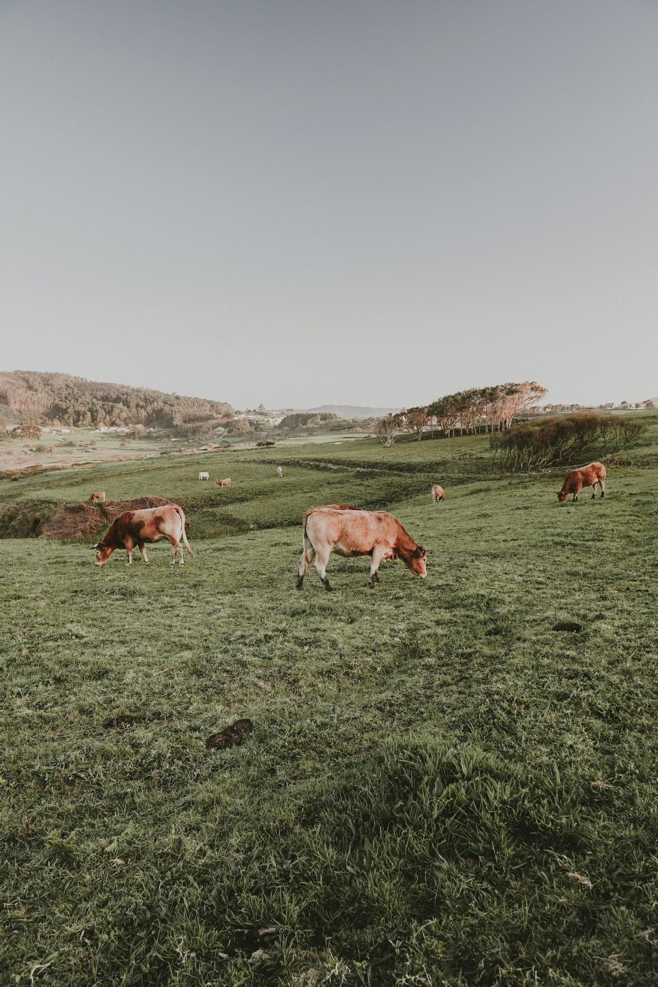 Un grupo de jóvenes en la Plaza del Obradoiro