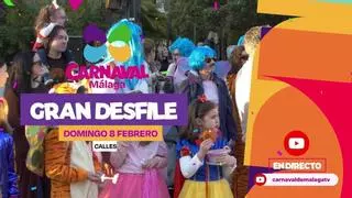 Sigue en directo el desfile del Carnaval de Málaga 2026