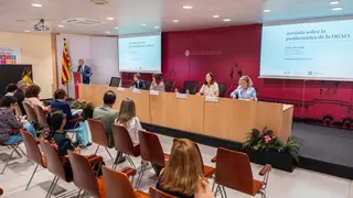 Catalunya lleva 15 años sin desplegar el servicio de abogados para niños tutelados que recoge la ley