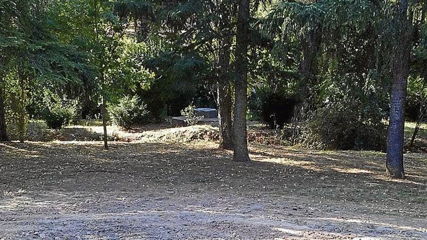 Cáceres Verde denuncia la retirada del cedro del parque del Príncipe