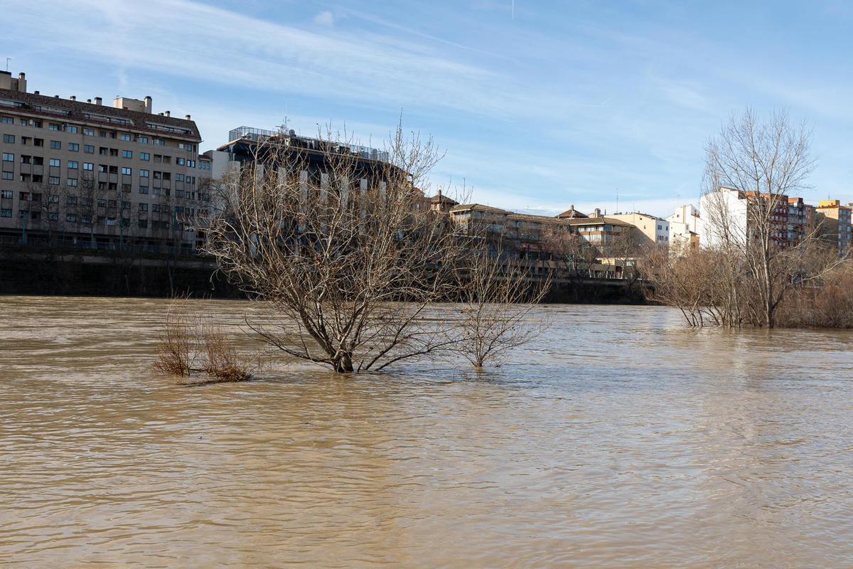 En imágenes I Así está el río Ebro a su paso por Zaragoza este lunes