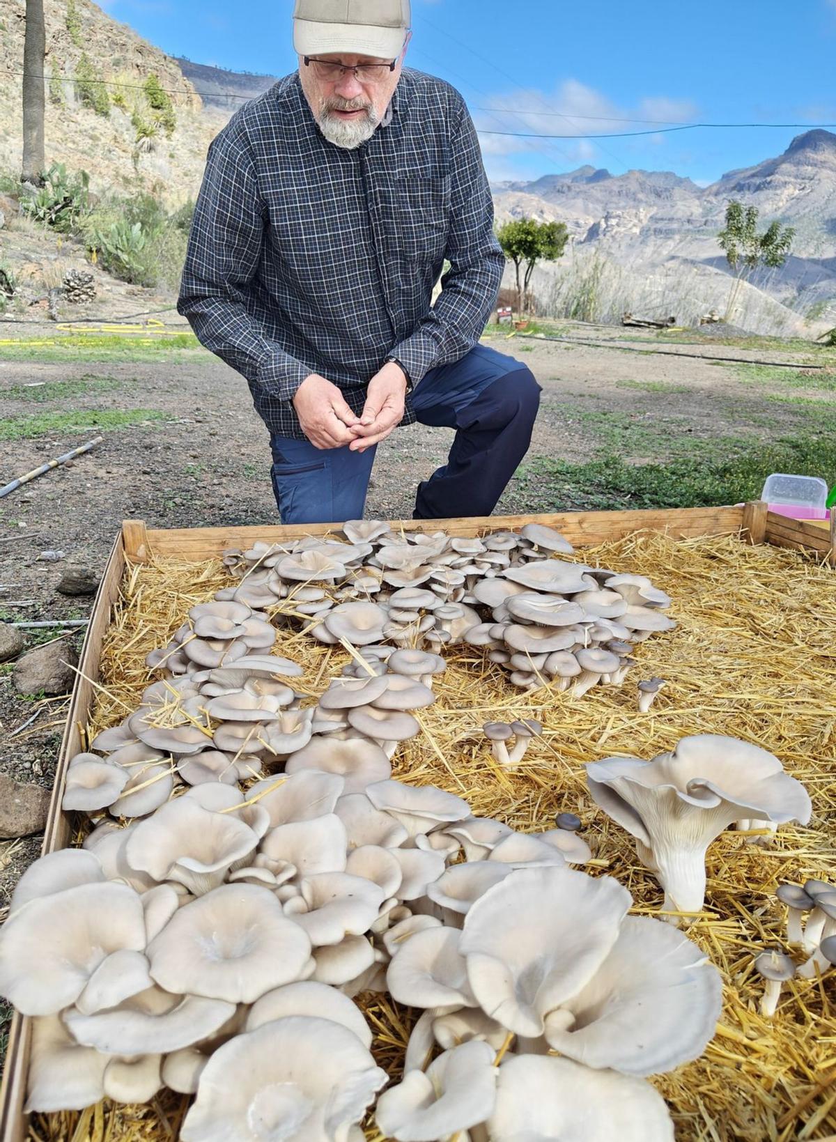 Canarias, un paraíso natural para el cultivo de setas | ARI Y TAPANI KOTISAARI
