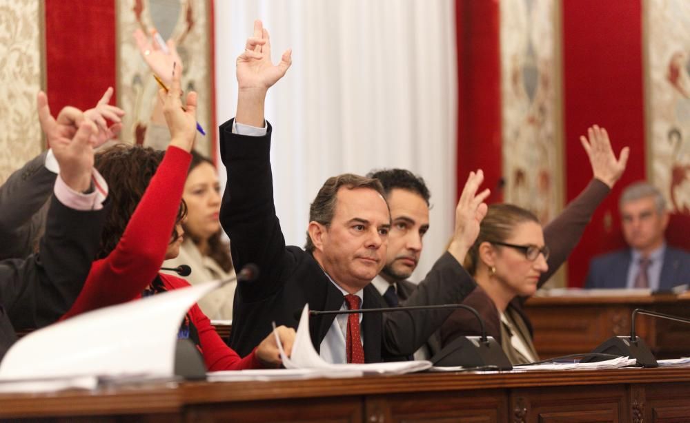 Pleno en el Ayuntamiento de Alicante