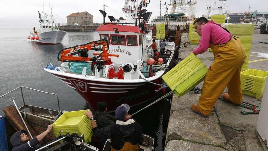 Marineros de cerco cargan cajas en un pesquero antes de salir a faenar.