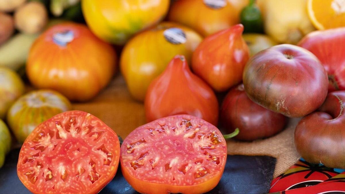 Este año se celebra un concurso de poesía dedicado al tomate huevo toro.