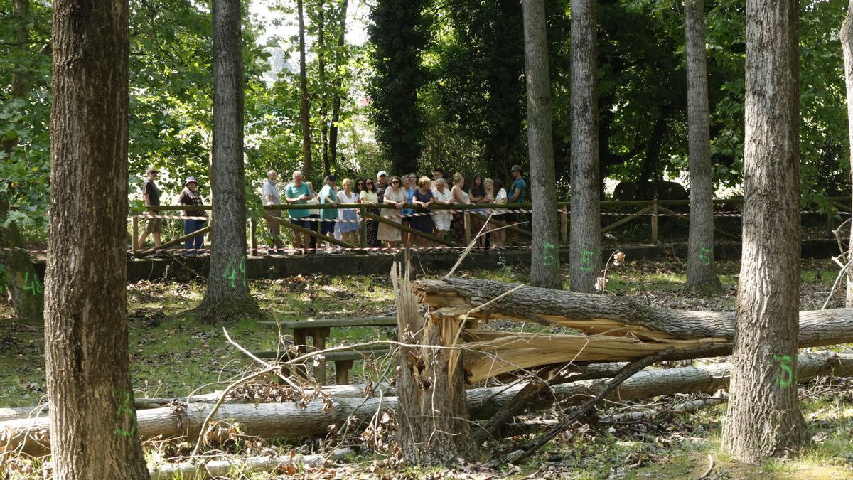 Desperfectos en el área recreativa del Fondo de Valliniello
