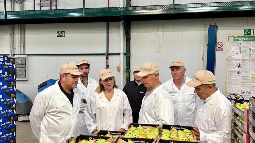 El Gobierno regional impulsa la competitividad del sector hortofrutícola con 89,7 millones de euros en ayudas a los productores