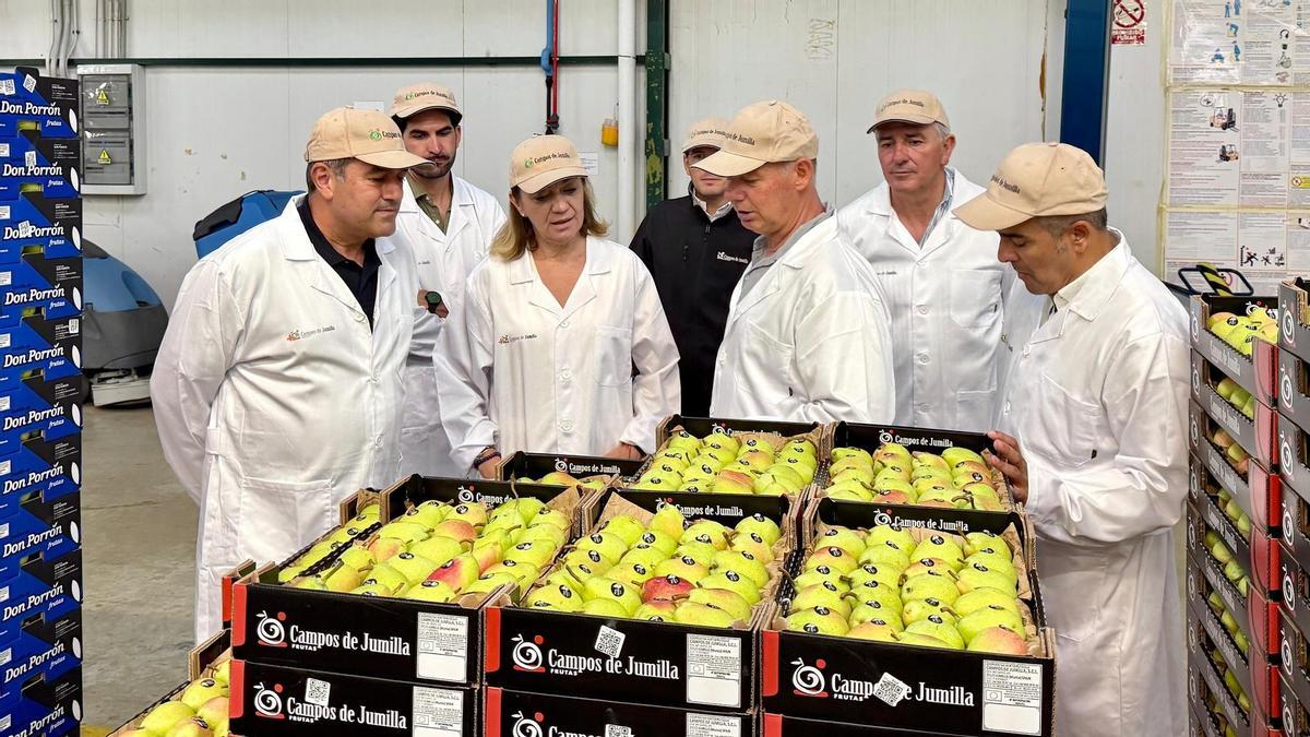 El consejero, Joaquín Buendía, durante la visita a las instalaciones de la OPFH Campos de Jumilla.