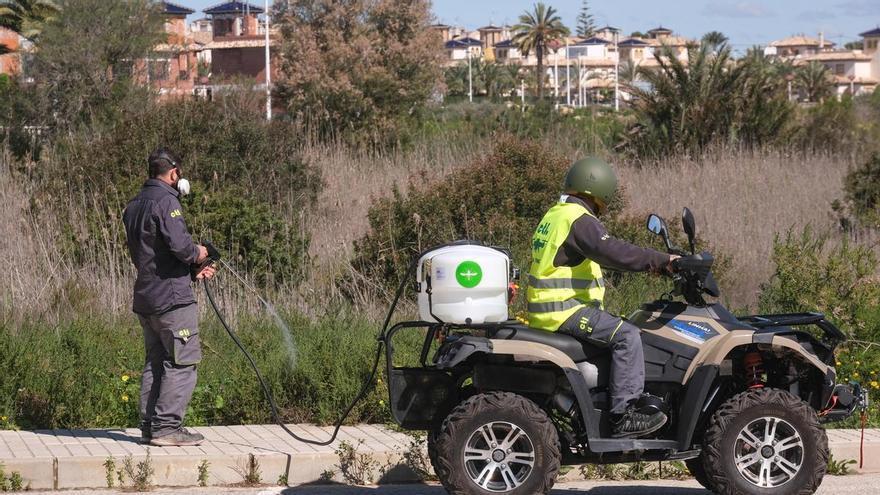 Sanidad concede ayudas contra el mosquito tigre a 95 municipios de Alicante