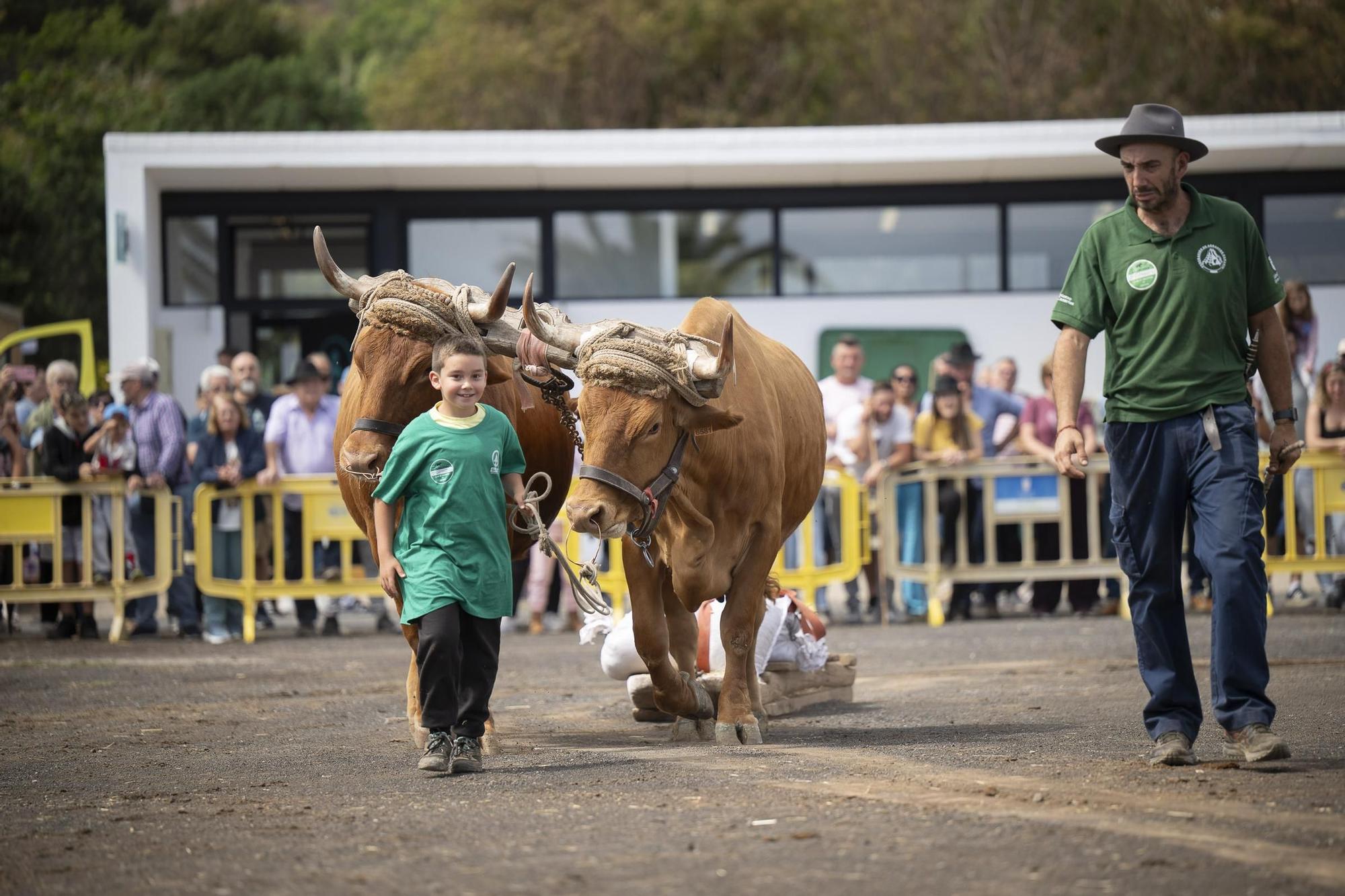 XXXII Edición del Concurso y Exposición de Ganado Selecto