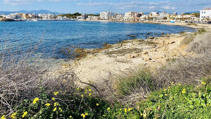 Frühling im Januar: 23 Grad und Sonne auf Mallorca