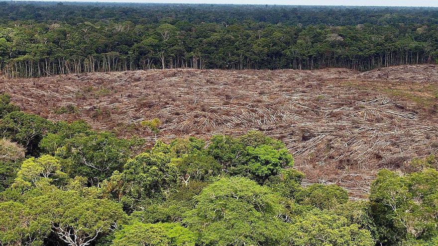 Los incendios en el norte de la Amazonía brasileña se multiplican por 12