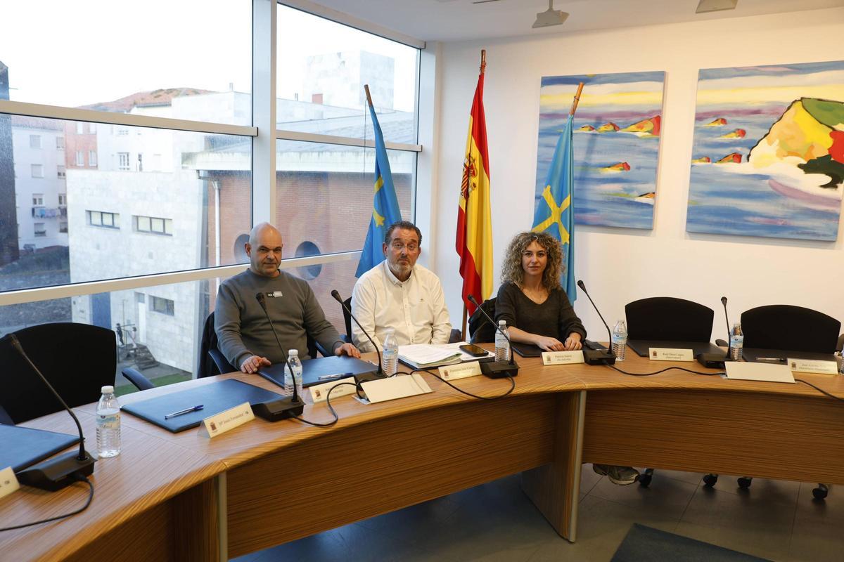 En imágenes: El primer Pleno de Gozón que escenifica la división en el PP