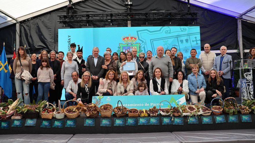 Arriondas, a toda castaña: estos son todos los premiados en el certamen del fruto por excelencia del otoño asturiano