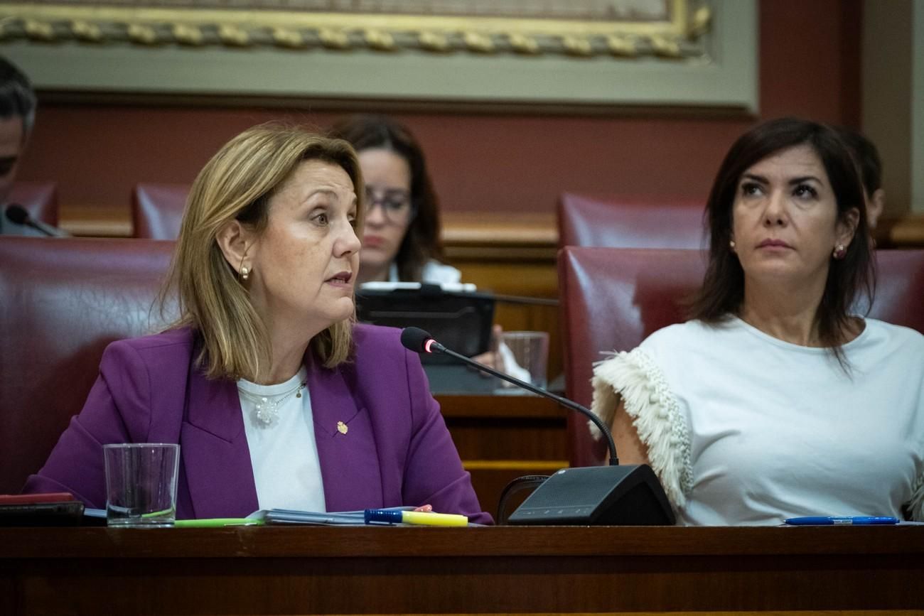 Pleno del Ayuntamiento de Santa Cruz de Tenerife del 29 de noviembre de 2024