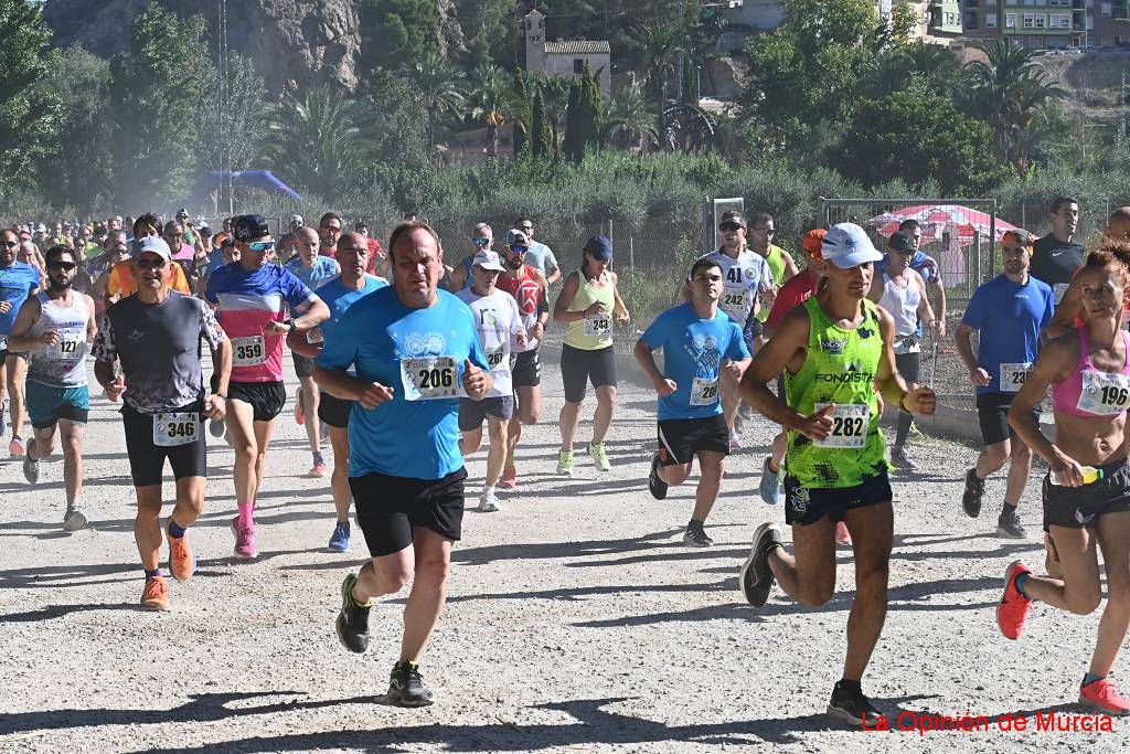 Ruta de las Norias de Abarán (1)