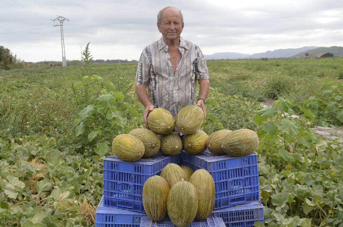 Vicent Eixea es muy conocido en Xilxes y comarca por su cultivo de melones.