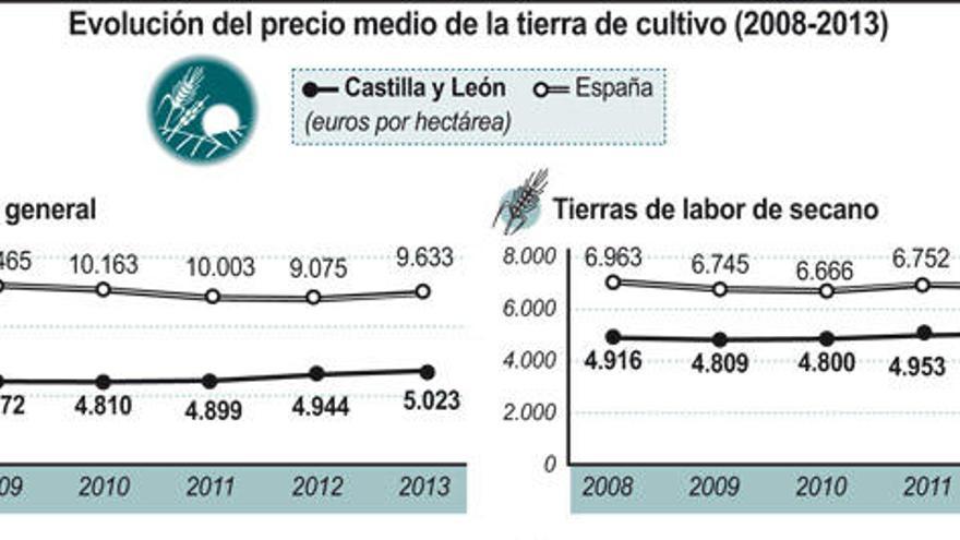 Evolución del precio medio de la tierra de cultivo