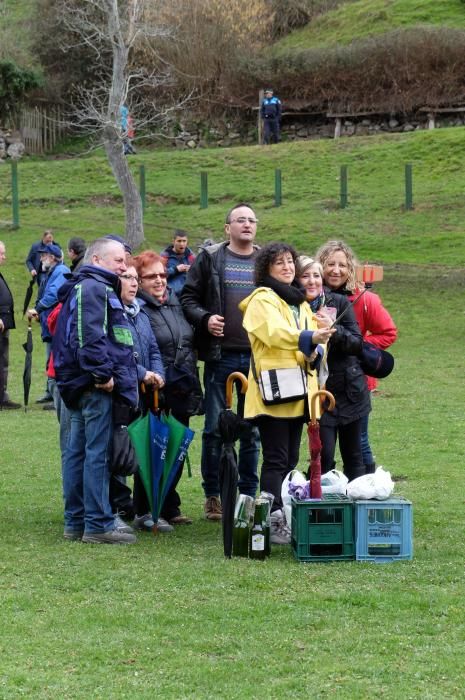 Romería en Piedracea, fiestas de la Flor de Lena