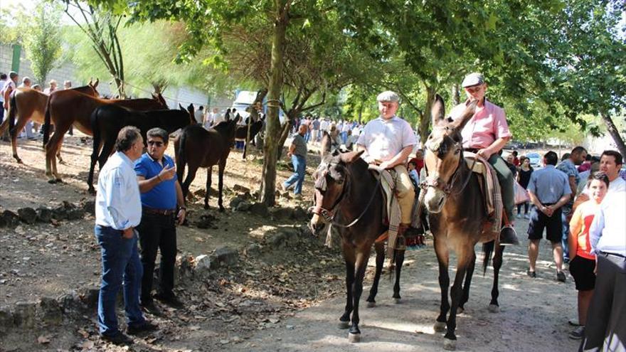 La feria de ganado supera las expectativas de la organización