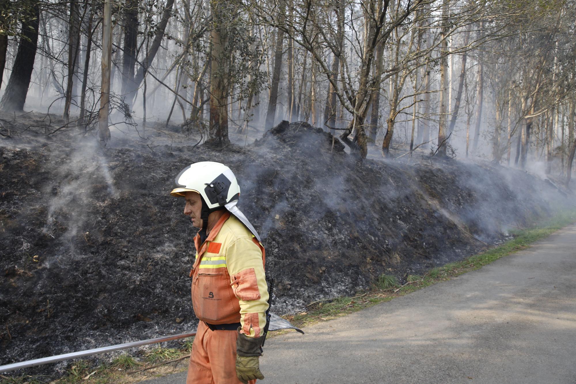 Bomberos de Asturias atrapando el fuego entre Naraval y Paredes