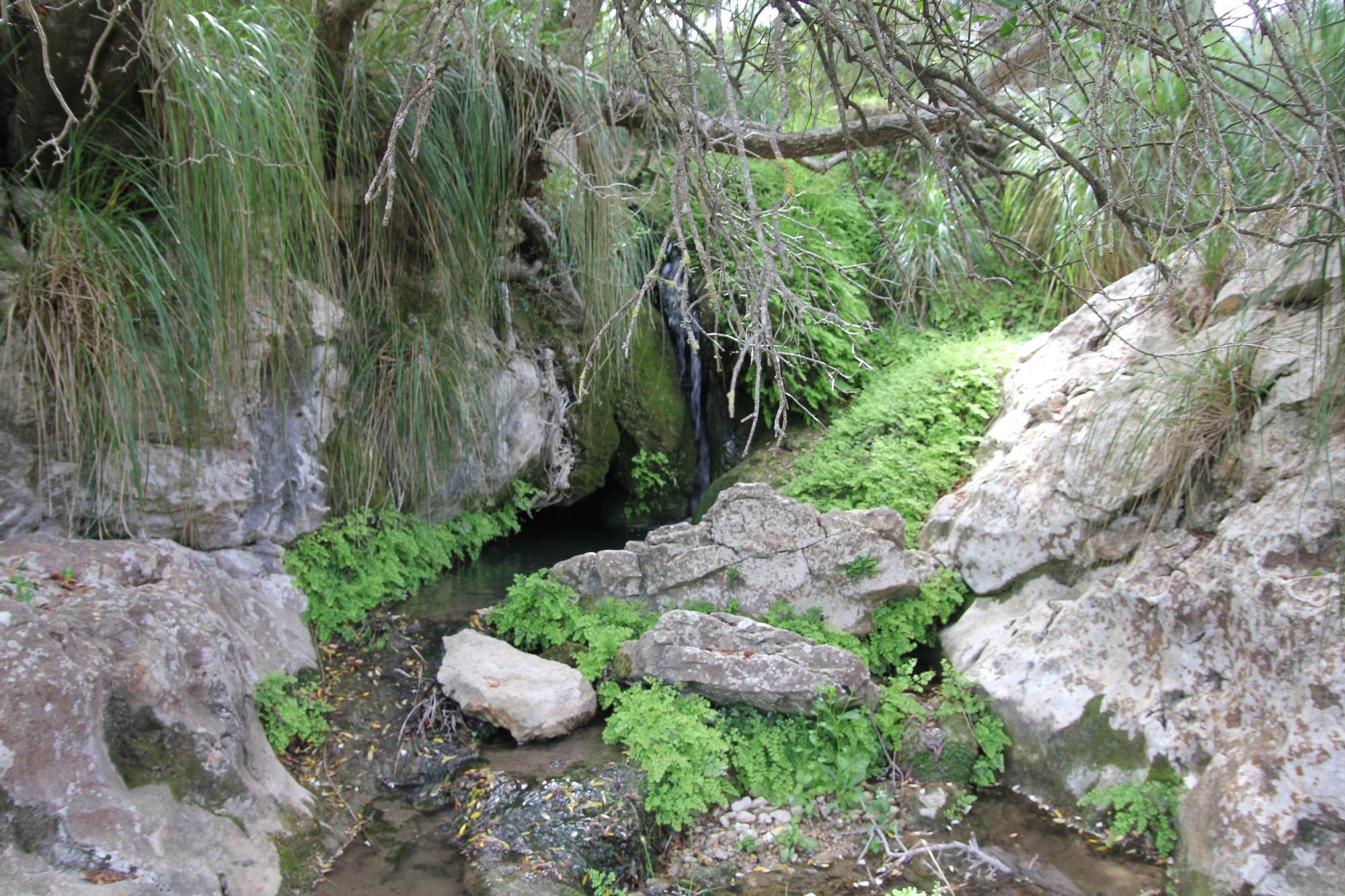 Fartàritx - mythische Finca in der Tramuntana