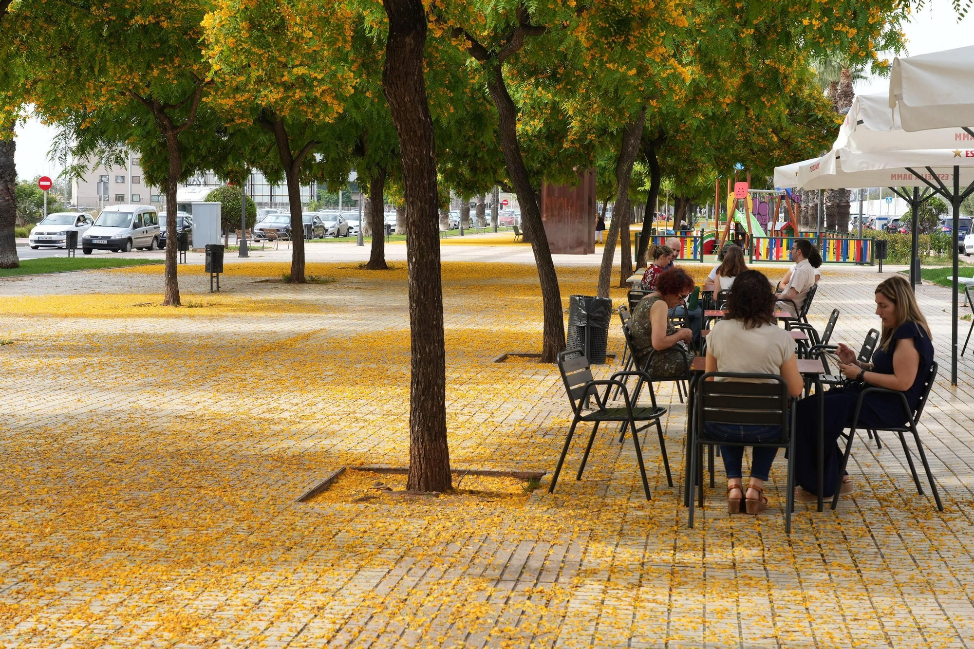La floración tiñe las calles de Castelló